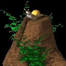 snail_stump_lc.gif