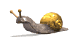 snail_move_sw.gif
