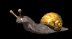 snail_move_sb.gif