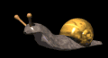 snail_move_mb.gif
