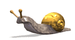 snail_move_lw.gif