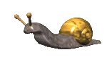 snail_move_lc.gif