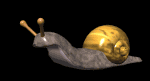 snail_move_lb.gif