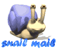 snail_mail_sw.gif