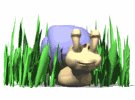 snail_looking_around_mw.gif