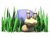 snail_looking_around_lw.gif