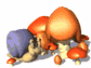snail_and_kid_mushroo_a_sw.gif