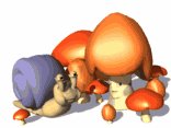 snail_and_kid_mushroo_a_lw.gif