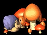snail_and_kid_mushroo_a_lc.gif