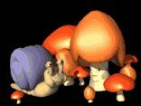 snail_and_kid_mushroo_a_lb.gif