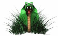 cobra_toon_in_grass_lw.gif
