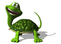 turtle_tail_mw.gif