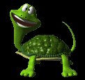 turtle_tail_lc.gif