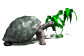 tortoise_eating_plant_sw.gif