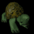shy_turtle_sb.gif