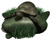 leatherback_turtle_on_a_sw.gif