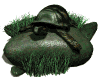 box_turtle_on_rock_sw.gif