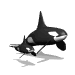 orca_baby_sw.gif