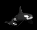 orca_baby_sb.gif