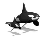 orca_baby_mw.gif