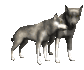 wolf_pair_rub_necks_sc.gif