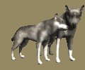 wolf_pair_rub_necks_mc.gif