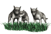 wolf_pack_sw.gif