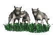 wolf_pack_sc.gif