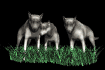wolf_pack_sb.gif