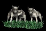 wolf_pack_mc.gif