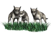 wolf_pack_hr.jpg