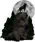 wolf_howl_at_moon_sc.gif