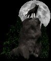wolf_howl_at_moon_mc.gif