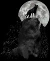 wolf_howl_at_moon_mb.gif