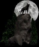 wolf_howl_at_moon_lc.gif