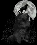 wolf_howl_at_moon_lb.gif