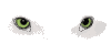 wolf_eyes_mw.gif