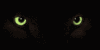 wolf_eyes_mb.gif