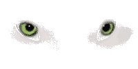 wolf_eyes_lw.gif
