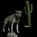 wolf_desert_scene_mb.gif