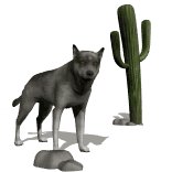 wolf_desert_scene_lw.gif