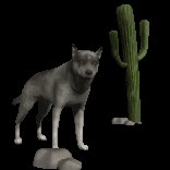 wolf_desert_scene_lc.gif