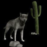 wolf_desert_scene_lb.gif