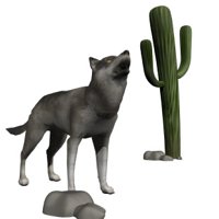 wolf_desert_scene.jpg