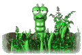 hole_lc.gif