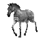 zebra_walking_sc.gif