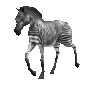 zebra_walking_mc.gif