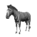 zebra_headup_sc.gif