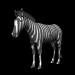 zebra_headup_sb.gif