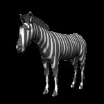 zebra_headup_lc.gif